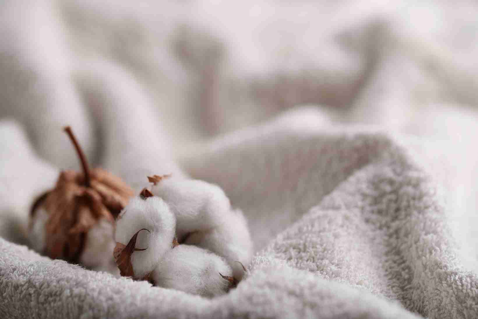 organic cotton - Top 5 Eco-Friendly Materials for Wet Wipes